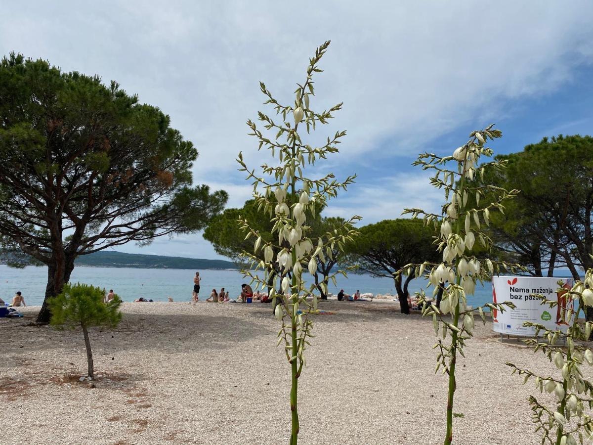 Family Apartments Vesna- 100 M Beach -Center Crikvenica Exterior foto