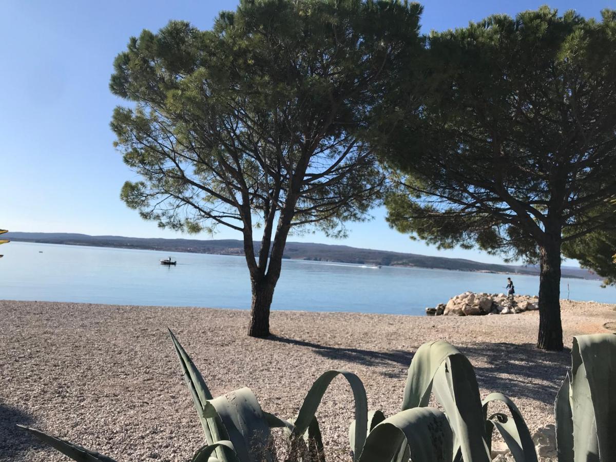 Family Apartments Vesna- 100 M Beach -Center Crikvenica Exterior foto